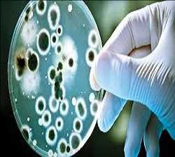 Mercado mundial de pruebas de productos biológicos agrícolas