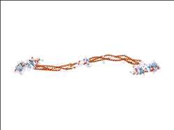 Global Fibrinógeno Mercado