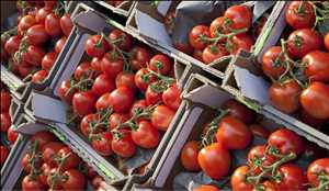 Nombre de la imágen