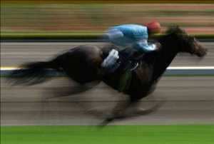 Global-Animal-Performance-Enhancers-Market