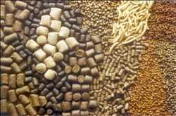 Piensos para acuicultura