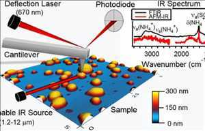 Global-Atomic-Force-Microscopy-Market