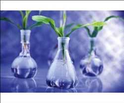 Global Poliuretano de base biológica Mercado