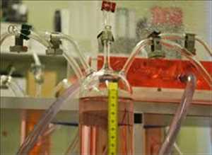 Global-Biochemical-Methane-Market