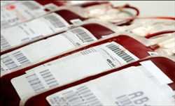 Bolsas de sangre