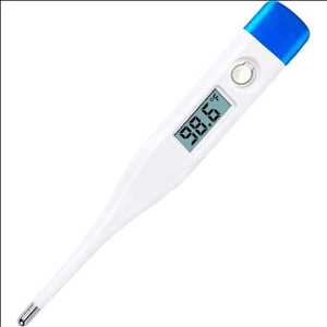 Global Digital Thermometer Market Leading Players