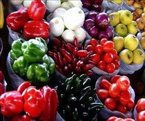 Global-Feed-Antioxidants-Market