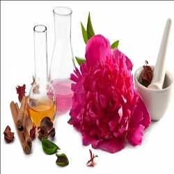 Sabor y Fragancia