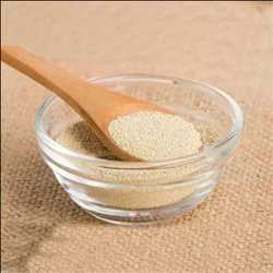 Levadura de grado alimenticio