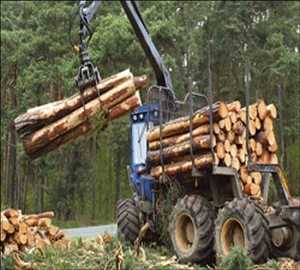 Global Forestry and Logging Market Growth Rate