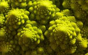 Global-Free-Fatty-Acid-Receptor-4-Market