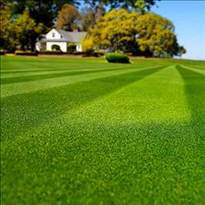 Global-Grass-Lawn-Seed-Market
