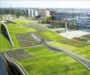 Global-Green-Roof-Market