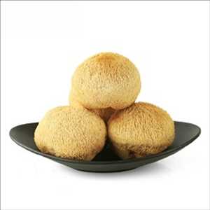 Global-Hericium-Erinaceus-Extract-Market