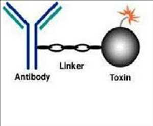 Global-Immunotoxins-Market