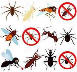 Global Control de plagas de insectos Mercado
