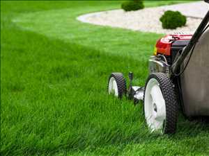 Global-Landscaping-Services-Market