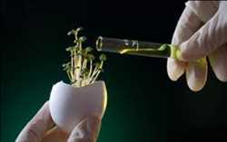 Global Reactivos de ciencias biológicas Mercado