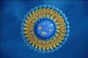 Global Liposome Drug Delivery Market Opportunities