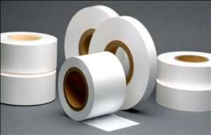 Global Lithium Ion Battery Separator Market Share