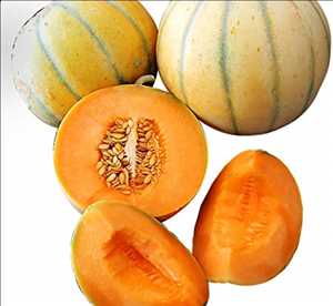 Global-Melon-Market