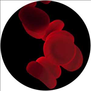 Global Micronucleus Kits Market Opportunities