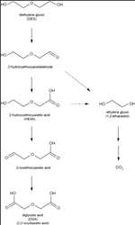Monoetilenglicol