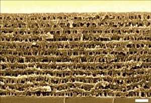 Global-Nanoporous-Material-Market