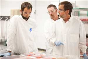 Global New Crop Protection Generics Market Forecast