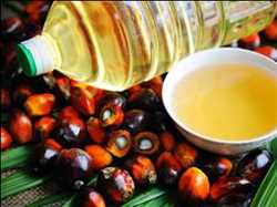 Aceite de palma