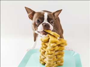 Global Pet Treats Supply-Demand