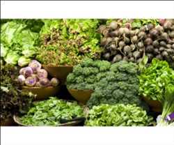 Proteína de origen vegetal