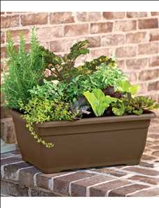 Global Planter Market Forecast