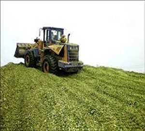 Global Silage Inoculants Market Past Data