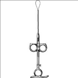 Nombre de la imágen