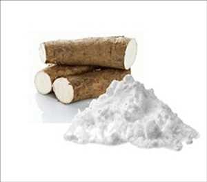 Global-Tapioca-Starch-Market