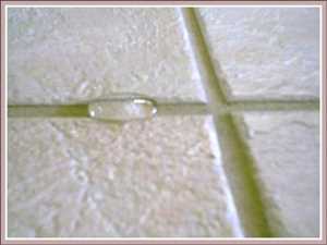 Global-Tile-Grout-Sealer-Market
