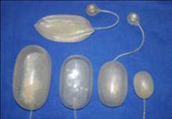 Global Expansores de tejido Mercado