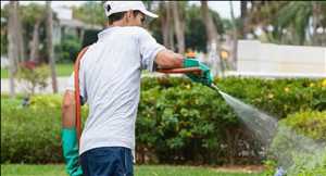 Global Triamiphos Market Future Scope