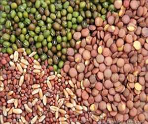 Global-Vegetable-Seed-Market