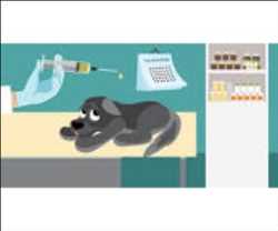 Global Vacunas veterinarias Mercado