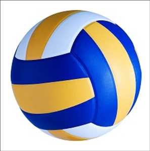 Global Volleyball Revenue