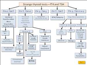 Tendencia global del mercado de prueba de función tiroidea