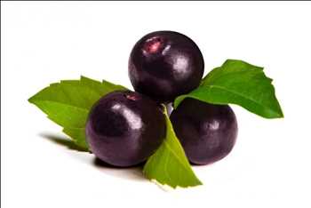 Global Suplementos de Acai Cuota de mercado