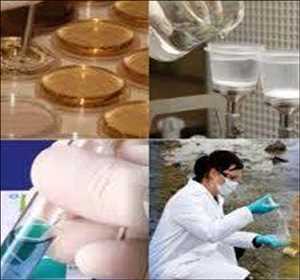 Pruebas de seguridad de alimentos para animales Mercado Demanda-Oferta