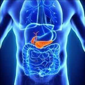 Páncreas Bio-Artificial Mercado Demanda-Oferta