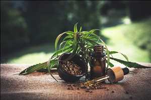 Cannabidio Tendencias de crecimiento del mercado