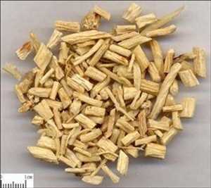 Extracto de Codonopsis pilosula Mercado