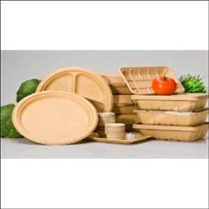 Envasado compostable para servicios alimentarios Tendencias de crecimiento del mercado