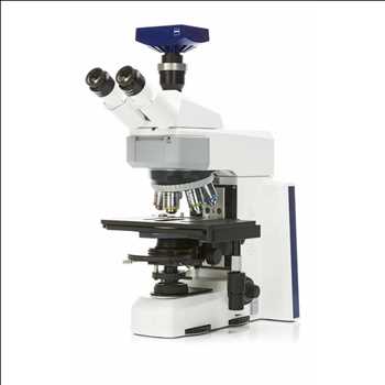 Global Microscopio confocal Cuota de mercado